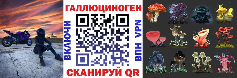 Галлюциногенные грибы Psilocybe  Верхнеуральск 